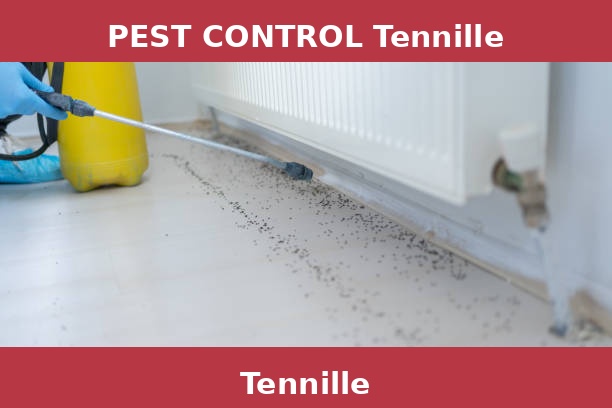 PEST CONTROL Tennille